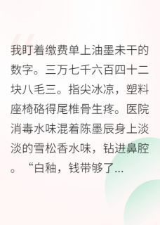 (抖音小说)灿灿陈墨辰白釉小说全文阅读免费
