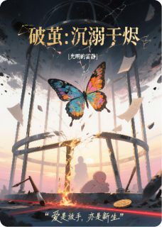 陆沉苏晴小说大结局在哪看-破茧：沉溺于烬完整版免费阅读