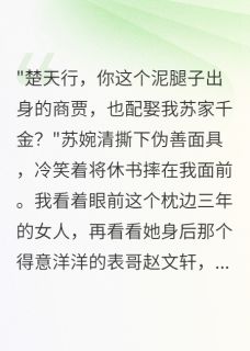 苏婉清赵文轩萧雨荷全本章节在线阅读大结局