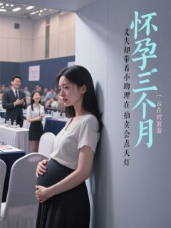 (抖音)怀孕三个月，丈夫却带着小助理在拍卖会点天灯苏铭宋艳小说免费全文阅读-暗夜阅读网