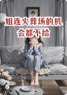 最新小说姐连火葬场的机会都不给主角苏晚陆沉全文在线阅读