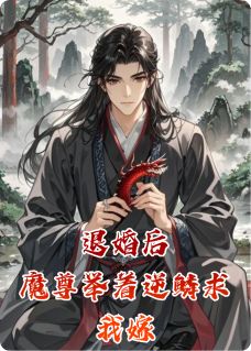 全章节小说退婚后，魔尊举着逆鳞求我嫁昕空居士最新阅读-暗夜阅读网