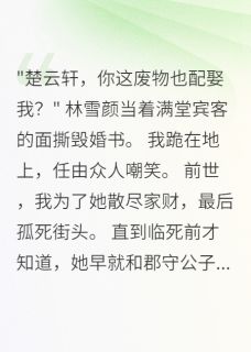 独家被嫌废物，转身成了朝廷重臣小说-主角萧正林雪颜全文免费阅读