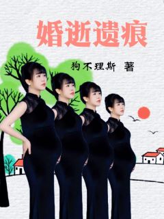 主角是老毛梅小惠瑶祖娴的小说-婚逝遗痕完整章节阅读