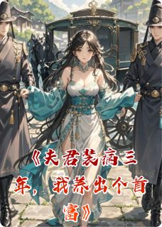 夫君装病三年，我养出个首富章节目录小说-沈清漪顾衍免费阅读全文-暗夜阅读网