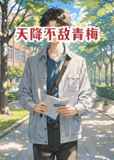 天降坏女人不敌青梅林晚风苏瑶韩诗雨全章节在线阅读-暗夜阅读网