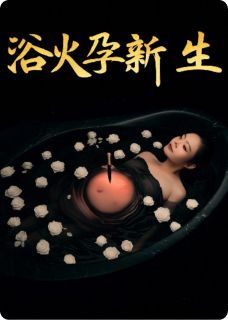 顾言深沈岚是哪部小说的主角 浴火孕新生全文无弹窗
