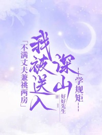 不满丈夫兼祧两房，我被送入深山学规矩苏辰梁清雅秦书仪无广告在线阅读
