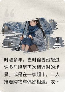 免费完结小说回国后被强制爱了崔时锦段尽无弹窗免费阅读
