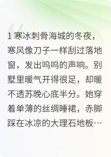 陆先生，夫人她不回头了小说(完结版)-苏晚陆霆渊在线阅读-暗夜阅读网