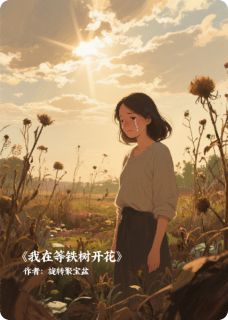 主人公苏晚周叙白顾屿小说我在等铁树开花在线全文阅读