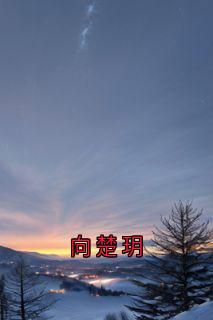 向楚玥免费阅读全文，主角向楚玥吴朗小说完整版-暗夜阅读网