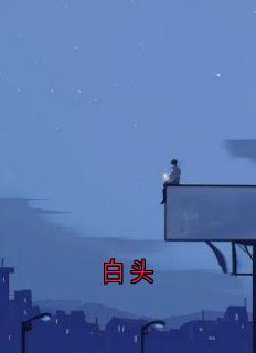 良心推荐白头小说试读-暗夜阅读网