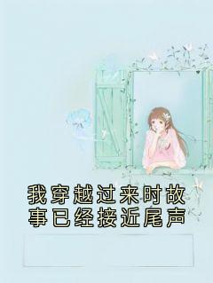我穿越过来时故事已经接近尾声[抖音]小说-孔如斯段终焉无删减阅读