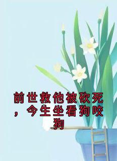 抖音林晚沈亦白小说叫什么名字-暗夜阅读网