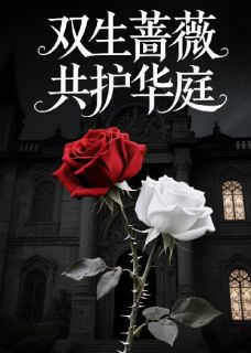 最新小说双生蔷薇，共护华庭主角苏晴林薇程岩全文在线阅读