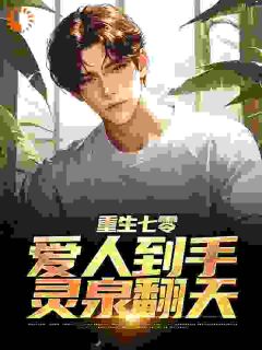 重生七零:爱人到手,灵泉翻天完整版-张伟安琳在线全文阅读-暗夜阅读网