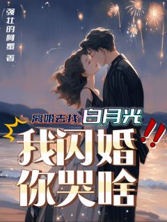 离婚去找白月光，我闪婚你哭啥免费章节离婚去找白月光，我闪婚你哭啥点我搜索全章节小说