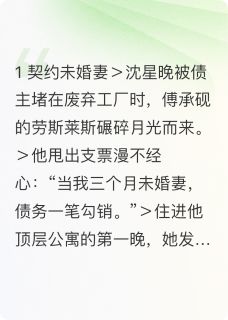 合约到期霸总求我签终身沈星晚傅承砚免费全章节目录阅读