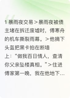 百日合约情人藏着我十八岁的糖阮梨傅寒舟小说完整在线阅读