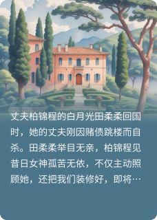 白月光归来后，完美老公成了疯批小说(完结)-柏锦程田柔柔佳佳无删减阅读