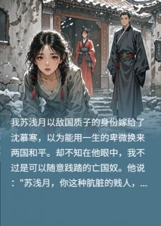 惊鸿醉的小说将军,你的质子妻死了全文阅读-暗夜阅读网