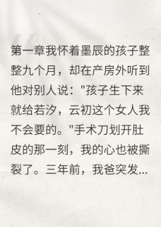 欲饮狗血同载酒写的小说替白月光代孕的日子墨辰许瑾全文阅读-暗夜阅读网