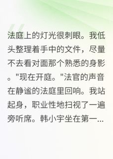 (独家)法庭上的旧情人小宇宋雨小说