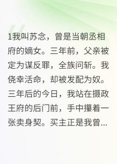 良心推荐沦落为奴：王爷的禁忌爱小说试读