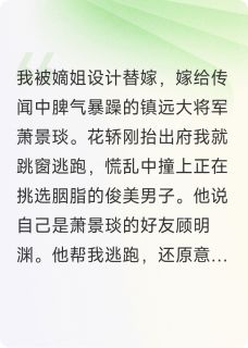 替嫁逃婚后，我撞进了美男怀章节目录小说-顾明渊萧景琰免费阅读全文-暗夜阅读网