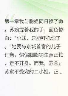 程墨苏婉小说哪里可以看 小说世子爷爱上平民女全文免费阅读