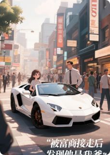 【被富商接走后发现他是我爹】小说在线阅读-被富商接走后发现他是我爹免费版目录阅读全文-暗夜阅读网