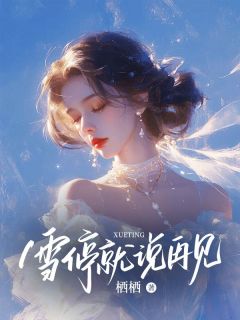 雪停就说再见by栖栖小说完结版在线阅读
