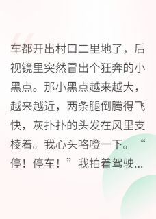 我那可爱的外婆，总给我塞好吃的(新书)大结局在线阅读-暗夜阅读网