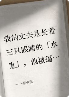 精彩小说刘盼娣赤曙英眼中渊全文目录畅读