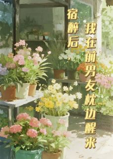 宿醉后，我在前男友枕边醒来by好大一颗桃免费阅读小说大结局