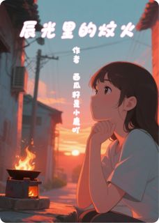 抖音小说辰光里的炆火主角林辰苏炆全文小说免费阅读