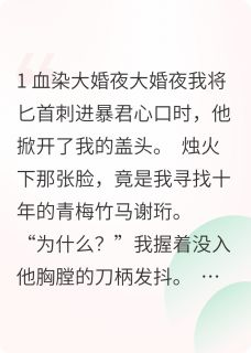 血染盖头识故人福海谢珩by爱吃蔬菜汤的圣明免费看-暗夜阅读网