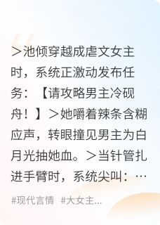 熬夜也要看完的虐文女主她拒绝攻略，反手举报小说推荐