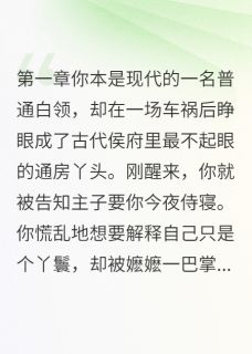 穿越后靠脑子上位燕琛小慧by可乐加烟法力无边免费看