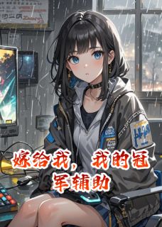 苏晚沈砚小说嫁给我，我的冠军辅助完整章节-暗夜阅读网