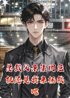 总裁父亲集团危机还是我来拯救吧在线全文阅读-主人公陆琛陆凛小说