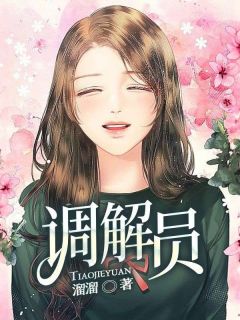 调解员小说的书名是什么