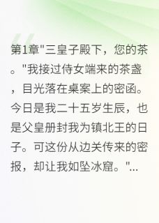 主角是楚天北蛮苏婉儿的小说-王爷命我诛九族完整章节阅读-暗夜阅读网