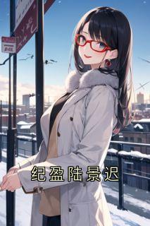 纪盈陆景迟陆景迟纪盈江亦欢-小说未删减阅读