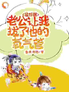 主角苏夏沈呈晔的小说作者鱼来渔趣-暗夜阅读网
