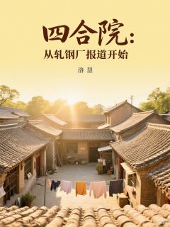 四合院：从轧钢厂报道开始小说(连载文)-易保平易中海无广告阅读