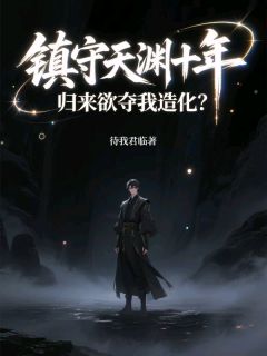 镇守天渊十年，归来欲夺我造化？叶澈叶南天大结局小说全章节阅读