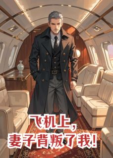 飞机上,妻子背叛了我!沈淮序柳如烟-小说txt全文阅读