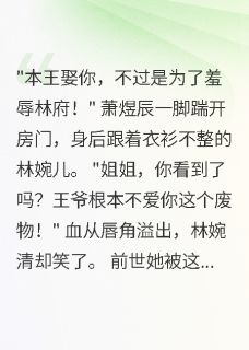 穿越女杀手：血洗摄政王府小说林婉清林婉儿免费阅读